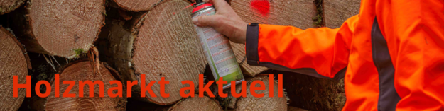 Holzmarkt aktuell Holzmarkt aktuell